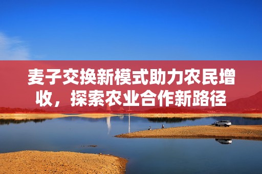 麦子交换新模式助力农民增收，探索农业合作新路径