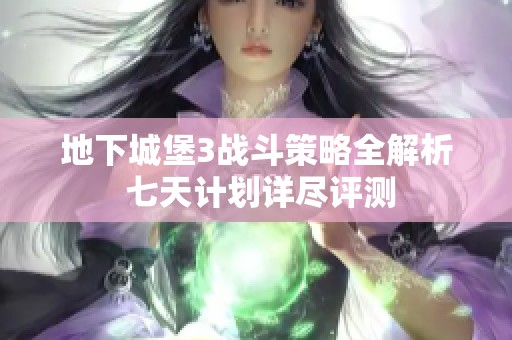 地下城堡3战斗策略全解析 七天计划详尽评测