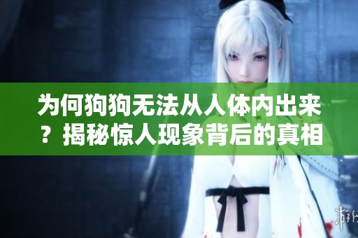 为何狗狗无法从人体内出来？揭秘惊人现象背后的真相