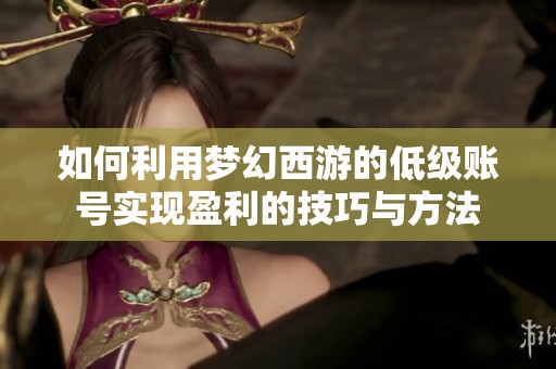 如何利用梦幻西游的低级账号实现盈利的技巧与方法