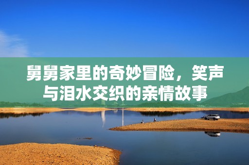 舅舅家里的奇妙冒险，笑声与泪水交织的亲情故事