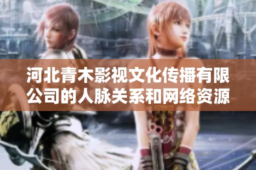 河北青木影视文化传播有限公司的人脉关系和网络资源分析报告