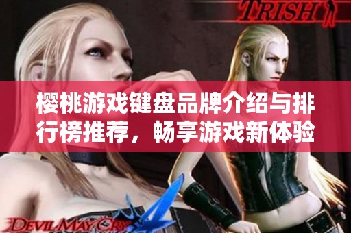樱桃游戏键盘品牌介绍与排行榜推荐，畅享游戏新体验