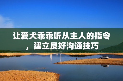 让爱犬乖乖听从主人的指令，建立良好沟通技巧