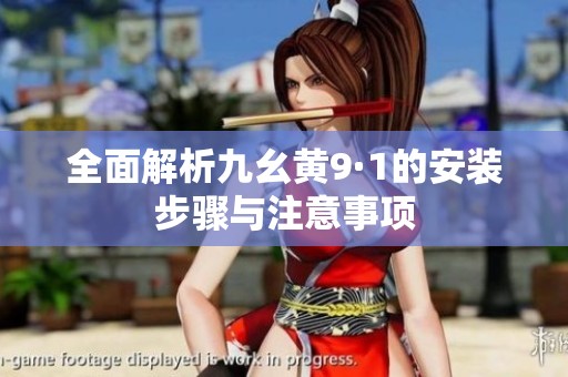 全面解析九幺黄9·1的安装步骤与注意事项