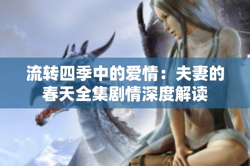 流转四季中的爱情：夫妻的春天全集剧情深度解读