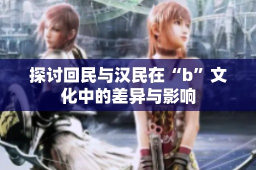 探讨回民与汉民在“b”文化中的差异与影响