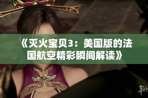 《灭火宝贝3：美国版的法国航空精彩瞬间解读》