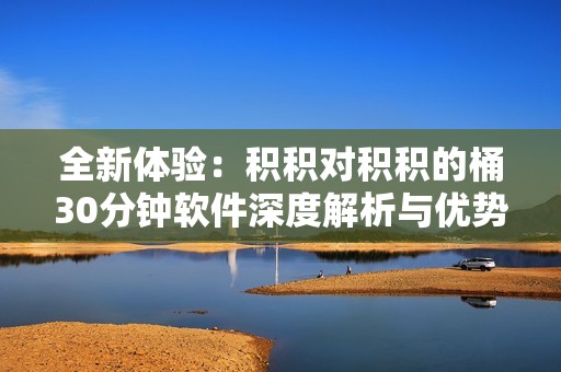 全新体验：积积对积积的桶30分钟软件深度解析与优势探讨