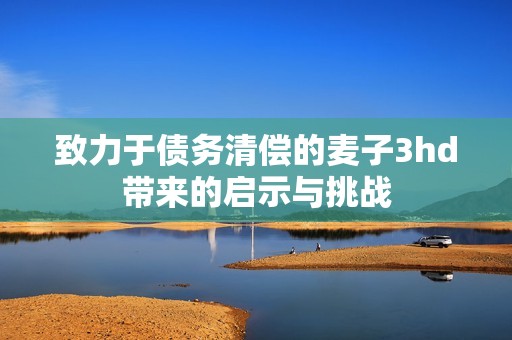 致力于债务清偿的麦子3hd带来的启示与挑战