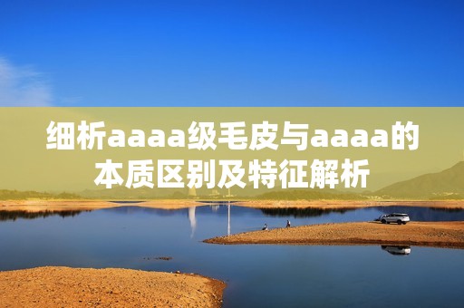 细析aaaa级毛皮与aaaa的本质区别及特征解析