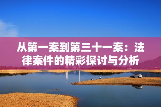 从第一案到第三十一案：法律案件的精彩探讨与分析