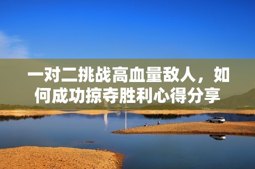 一对二挑战高血量敌人，如何成功掠夺胜利心得分享
