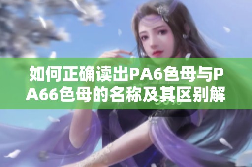 如何正确读出PA6色母与PA66色母的名称及其区别解析