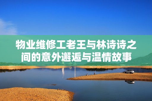 物业维修工老王与林诗诗之间的意外邂逅与温情故事