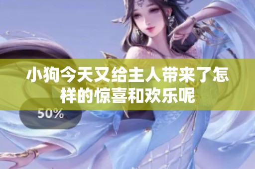 小狗今天又给主人带来了怎样的惊喜和欢乐呢