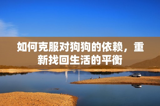 如何克服对狗狗的依赖，重新找回生活的平衡