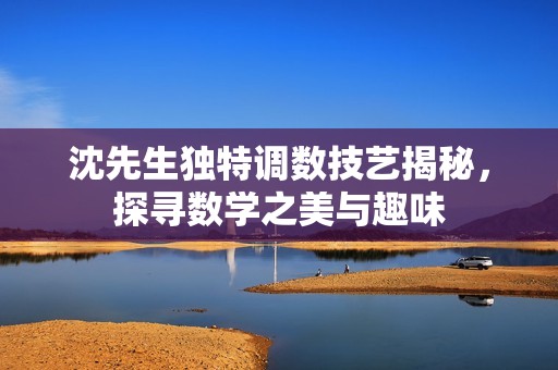 沈先生独特调数技艺揭秘，探寻数学之美与趣味