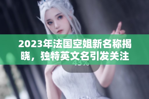 2023年法国空姐新名称揭晓，独特英文名引发关注