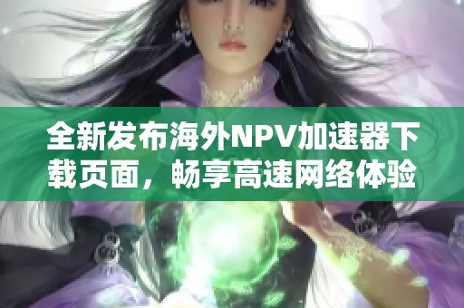 全新发布海外NPV加速器下载页面，畅享高速网络体验