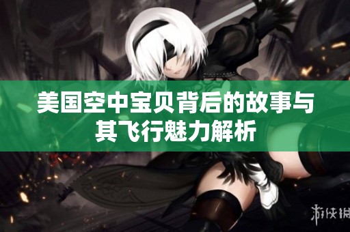 美国空中宝贝背后的故事与其飞行魅力解析