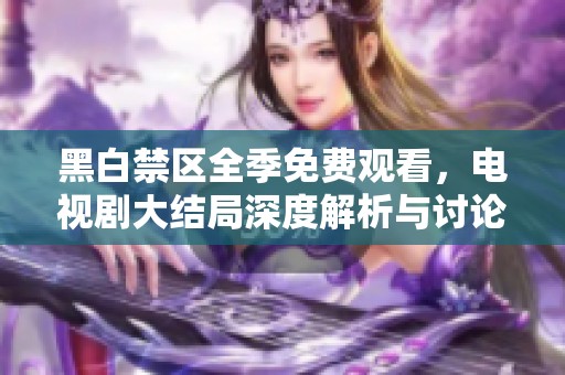 黑白禁区全季免费观看，电视剧大结局深度解析与讨论