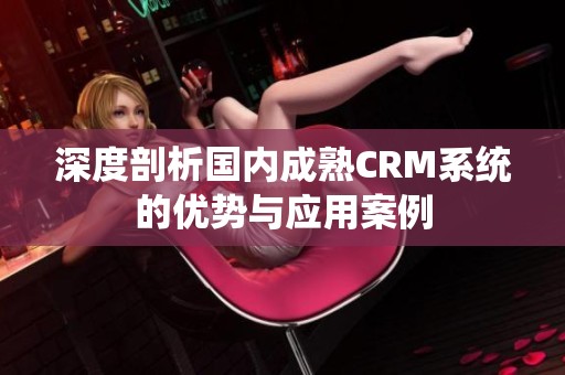 深度剖析国内成熟CRM系统的优势与应用案例