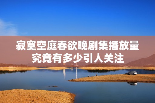 寂寞空庭春欲晚剧集播放量究竟有多少引人关注