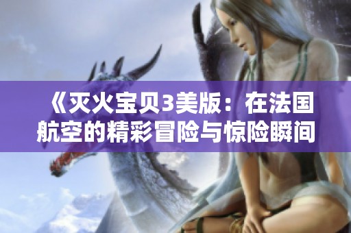 《灭火宝贝3美版：在法国航空的精彩冒险与惊险瞬间》