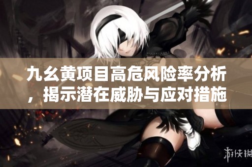 九幺黄项目高危风险率分析，揭示潜在威胁与应对措施