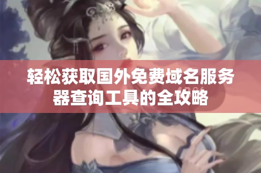 轻松获取国外免费域名服务器查询工具的全攻略