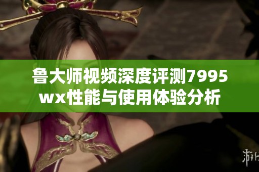 鲁大师视频深度评测7995wx性能与使用体验分析