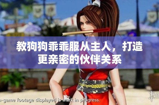 教狗狗乖乖服从主人，打造更亲密的伙伴关系