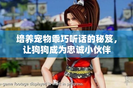 培养宠物乖巧听话的秘笈，让狗狗成为忠诚小伙伴