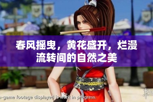 春风摇曳，黄花盛开，烂漫流转间的自然之美