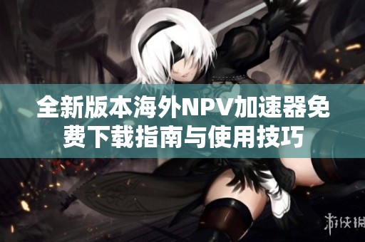 全新版本海外NPV加速器免费下载指南与使用技巧