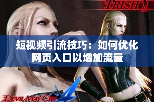 短视频引流技巧：如何优化网页入口以增加流量
