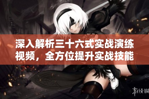 深入解析三十六式实战演练视频，全方位提升实战技能