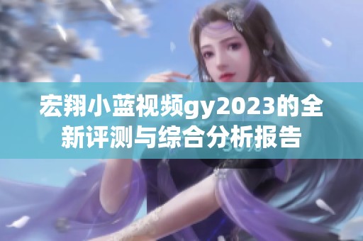宏翔小蓝视频gy2023的全新评测与综合分析报告