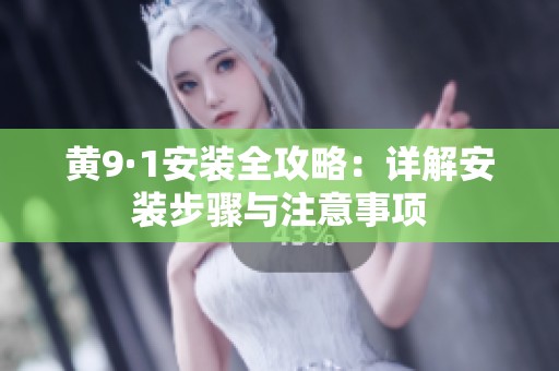 黄9·1安装全攻略：详解安装步骤与注意事项