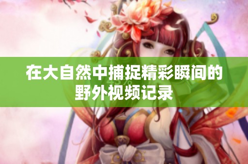 在大自然中捕捉精彩瞬间的野外视频记录