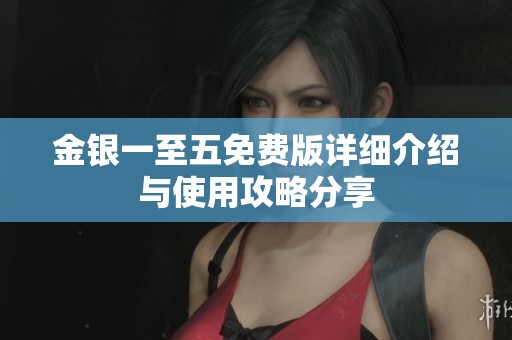 金银一至五免费版详细介绍与使用攻略分享