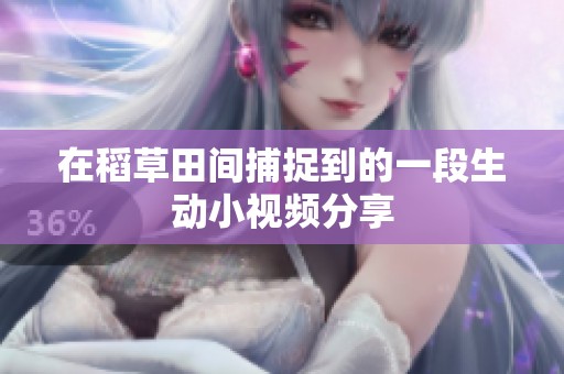 在稻草田间捕捉到的一段生动小视频分享