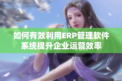 如何有效利用ERP管理软件系统提升企业运营效率