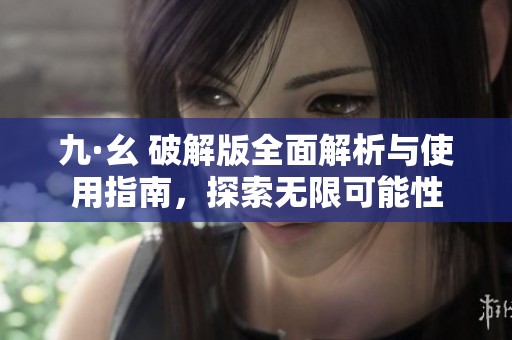 九·幺 破解版全面解析与使用指南，探索无限可能性