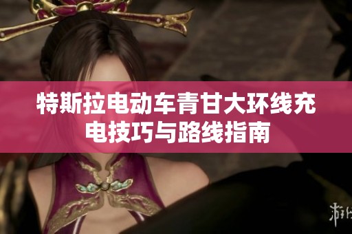 特斯拉电动车青甘大环线充电技巧与路线指南