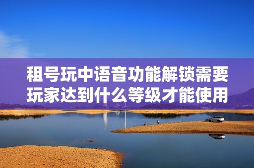 租号玩中语音功能解锁需要玩家达到什么等级才能使用