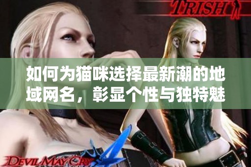 如何为猫咪选择最新潮的地域网名，彰显个性与独特魅力