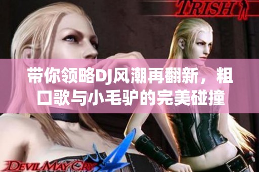 带你领略DJ风潮再翻新，粗口歌与小毛驴的完美碰撞