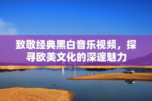 致敬经典黑白音乐视频，探寻欧美文化的深邃魅力